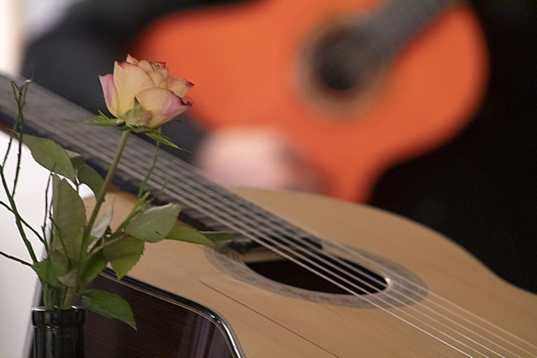 Gitarre u Rose 2