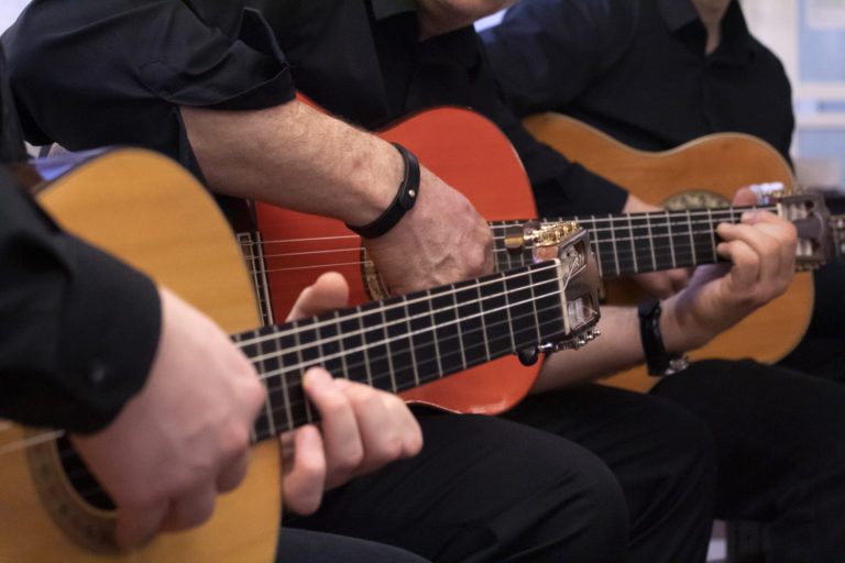 Gitarren